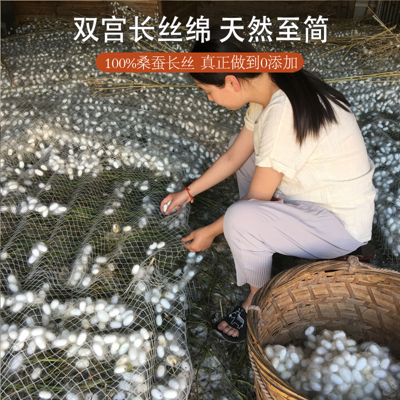 桐乡纯手工蚕丝被单人全棉春秋