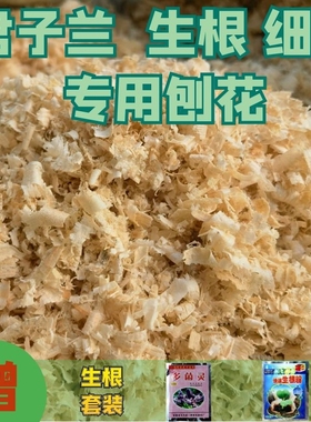 天然刨花锯末兰科君子兰生根木屑木粉木粒宠物除臭垫料发酵床包邮