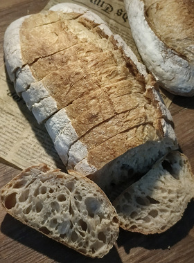 酸面包酸酵母菌种乡村面包素食主食酵种鲁邦种硬欧手工全麦面包