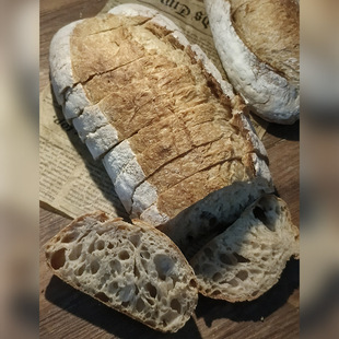 酸面包酸酵母菌种乡村面包素食主食酵种鲁邦种硬欧手工全麦面包