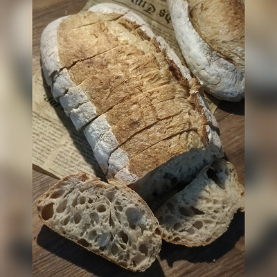 酸面包酸酵母菌种乡村面包素食主食酵种鲁邦种硬欧手工全麦面包