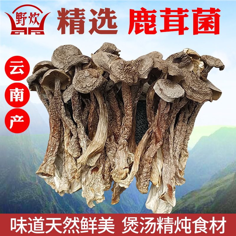 云南特产鹿茸菇干货500g特级鹿茸菌干菌子蘑菇干菌菇类煲炖汤食材