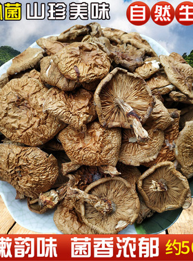油枞菌小黄蘑菇干货湖南特产油滑菇干菌子松树菌干菇类大全松乳菌