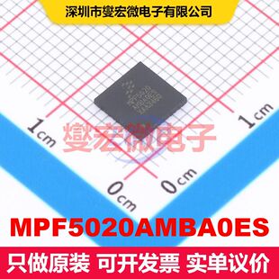 MPF5020AMBA0ES HVQFN-40(6x6) 专业电源管理 电源管理 集成芯