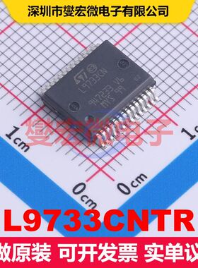 L9733CNTR SSOP-28-EP-300mil 配电开关/负载驱动器 电源管理 集