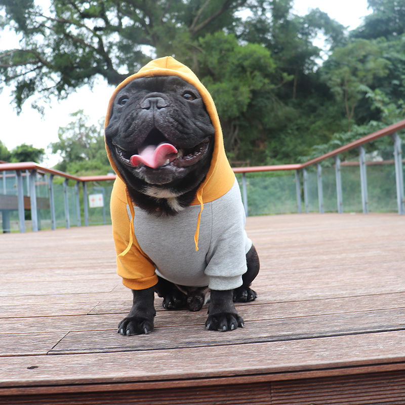 巴哥雪纳瑞泰迪狗小型犬纯棉法斗