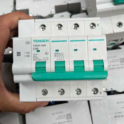 可维修天正TGB2D-100R4pC80费控开关4p80a电能表外议价
