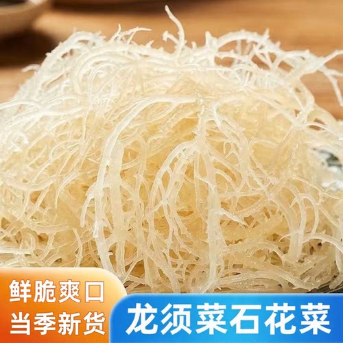 精品龙须菜鹿角菜半干凉拌食材