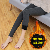 莫代尔加绒加厚打底裤 显瘦保暖裤 女士秋冬外穿高腰九分弹力裤 大码