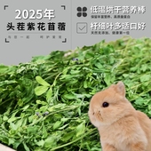 25年新草精品烘干头茬紫花苜蓿草干草幼兔子龙猫豚鼠荷兰猪粮牧草