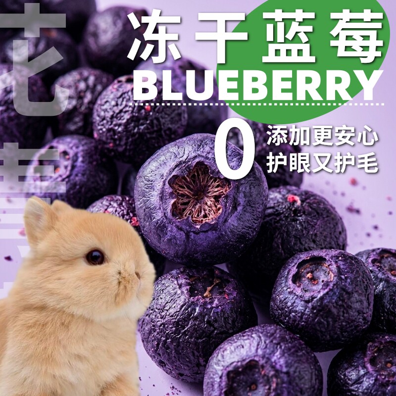 特级冻干蓝莓兔子磨牙零食龙猫豚鼠仓鼠宠物水果干护眼美毛维生素