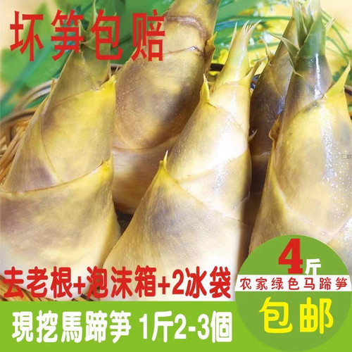 新鲜绿竹笋小笋马蹄笋脆嫩甘甜现挖夏季笋沙拉笋蔬菜水果笋