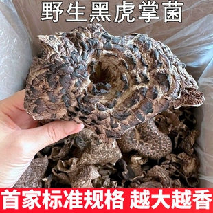 野生黑虎掌菌干货非新鲜山珍美食异香浓郁味道鲜美稀有云南菌子