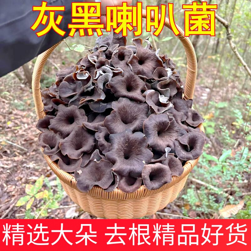 黑灰喇叭菌野生菌干货 灰号角原生态云南菌子菌香浓郁超好吃