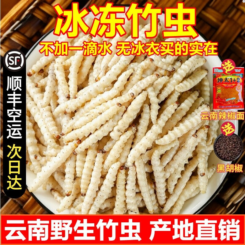 野生竹虫冰冻云南特产 冰鲜冷冻竹节虫蜂蛹顺丰空运次日达不带冰