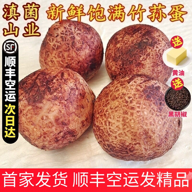 新鲜竹荪蛋 两斤装山珍野生短裙红托竹荪蛋云南特产美食材农产品