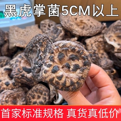 野生虎掌菌干货 大量采购价格优惠云南野生菌一斤装500克正品保障