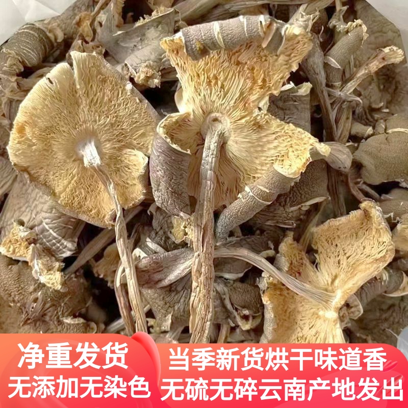 野生鸡枞菌菇干货 云南山珍味道鲜美野生菌蘑菇香菇云南菌子美食