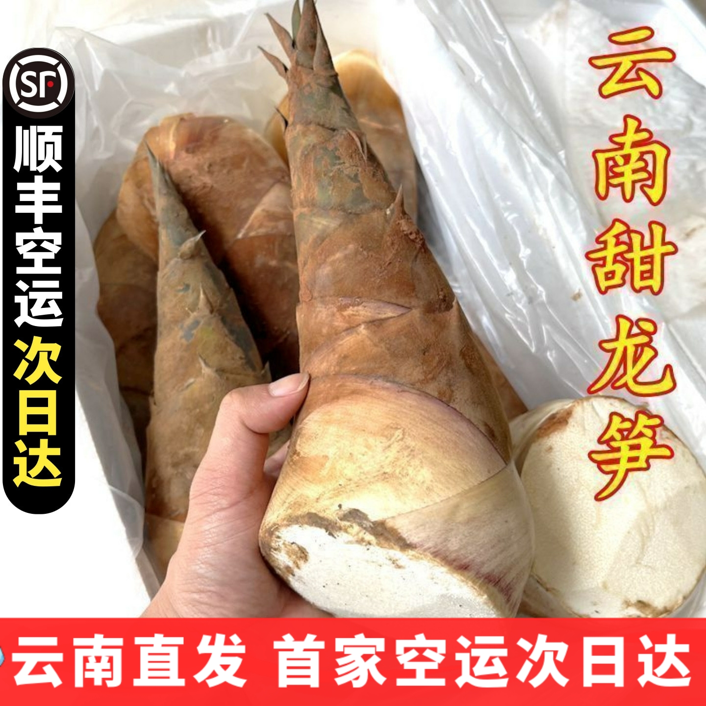 甜笋龙笋新鲜云南新鲜蔬菜 可生吃水果竹笋鲜嫩春笋现挖野菜