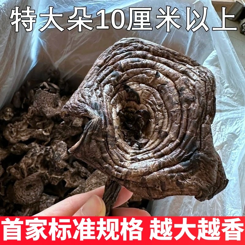 野生虎掌菌新鲜干货 精选无碎云南山珍蘑菇黑虎掌菌50克装香味浓