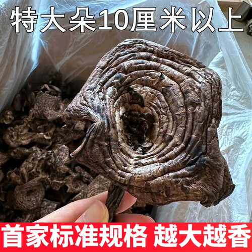 野生虎掌菌新鲜干货 精选无碎云南山珍蘑菇黑虎掌菌50克装香味浓
