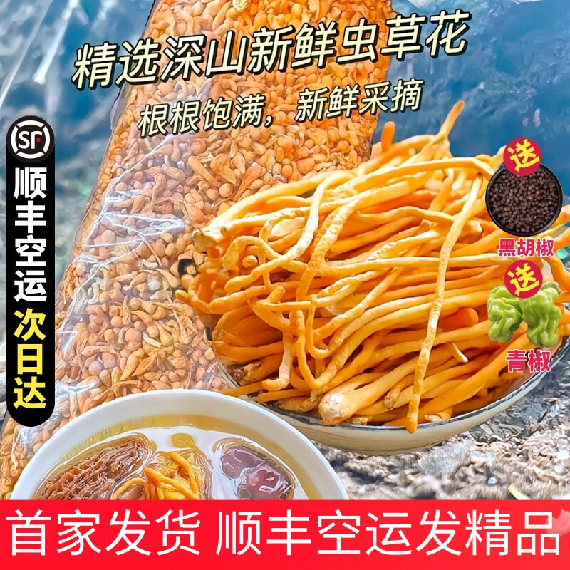 新鲜虫草花湿货鲜货正品孢子头北金虫草菇煲汤材料蛹虫草顺丰空运