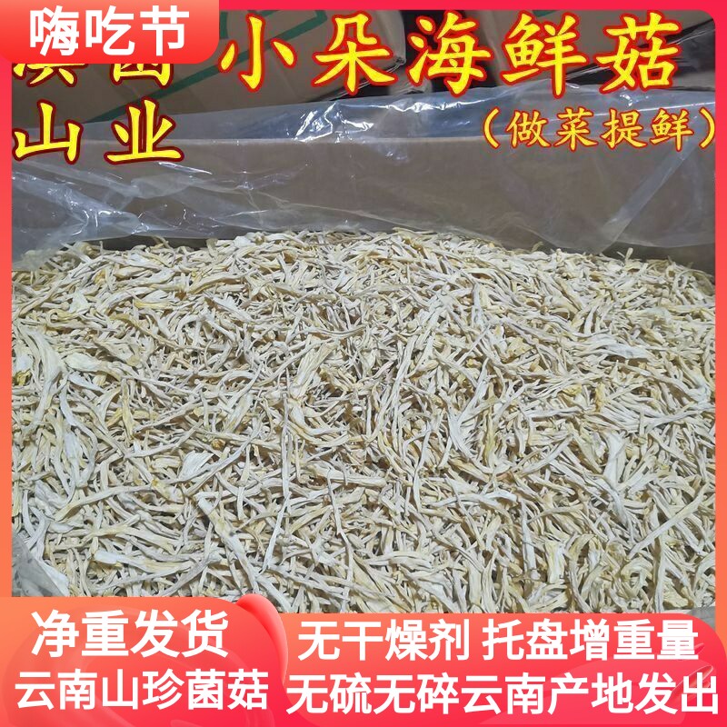 海鲜菇干货品 云南山珍500克一斤装煲汤提鲜香菇红烧滋味性价比高