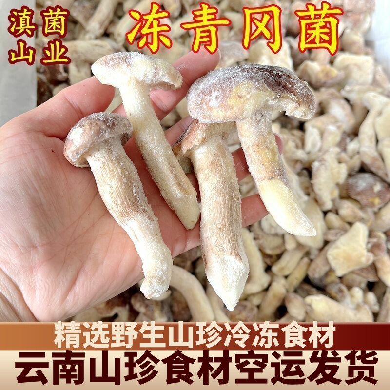冰鲜冻野生青冈菌 云南山珍土特产野生菌一斤酒店香菇食材洗干净