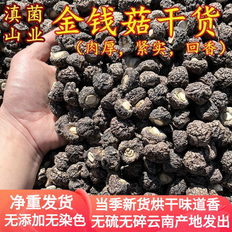 金钱菇干货 真正金钱菇肉厚口感嫩吃完嘴里回香香菇山珍美食半斤,粮油调味/速食/干货/烘焙,香菇类,淘宝优惠券,粉丝福利购,淘宝优惠卷