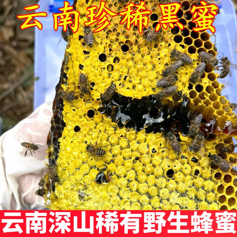 云南黑蜜 米团花黑蜂蜜悬崖蜜稀有食材味道层次感丰富富含花青素