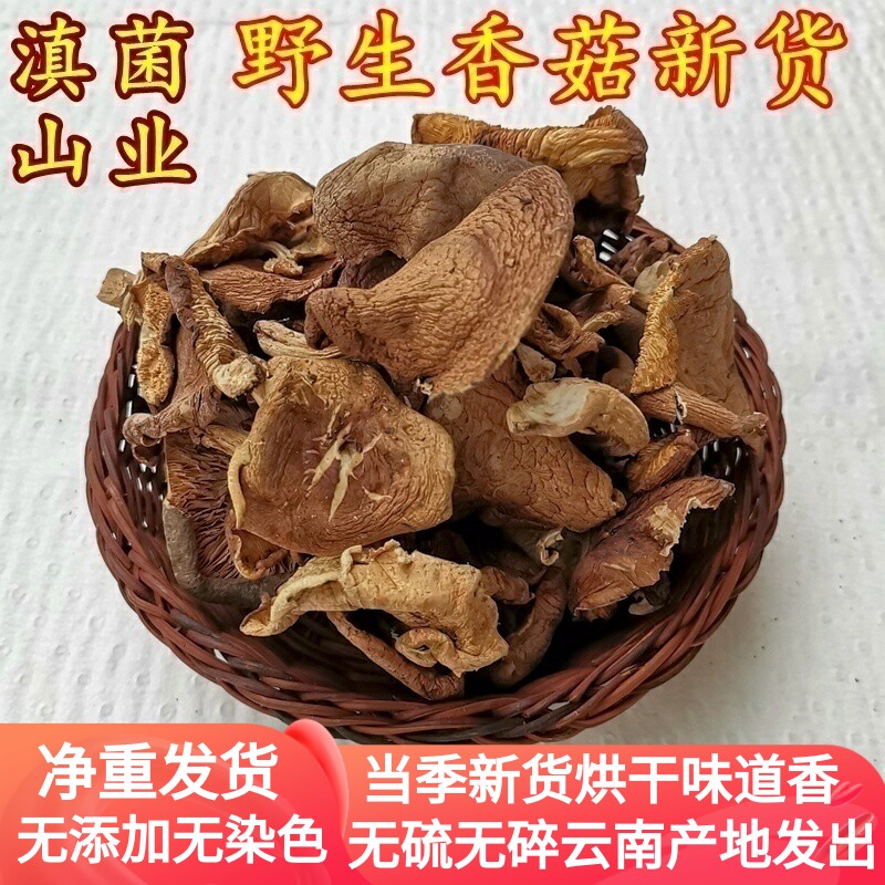 野生香菇干货 云南山珍蘑菇100克装香味浓郁煲汤美味味道鲜美无比