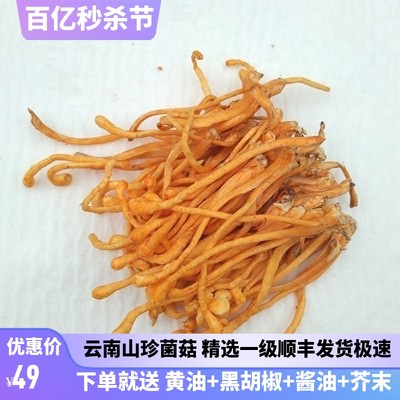 虫草花新鲜2斤鲜货北煲汤材料