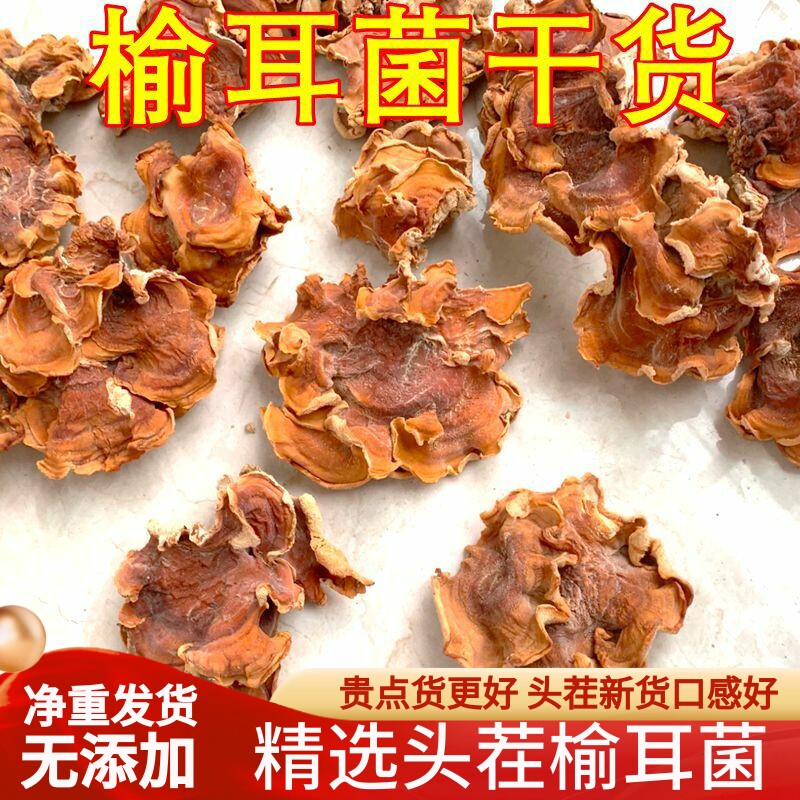 榆耳菌干货 云南山珍特产羊肝菌鹿肝菌牛肚菇口感厚实泡发