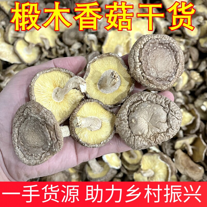 椴木香信菇干货 有点大小不一但是味道香的香信菇云南山珍菌蘑菇