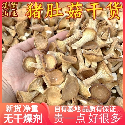 猪肚菇干货一斤装500克