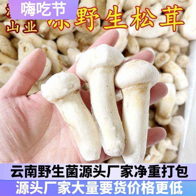 冰鲜冻野生松茸菌 云南山珍土特产野生菌一斤酒店香菇食材洗干净