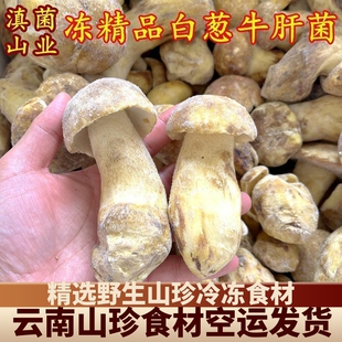 冰鲜冻白葱黄牛肝菌 云南山珍土特产野生菌一斤酒店香菇食材洗净