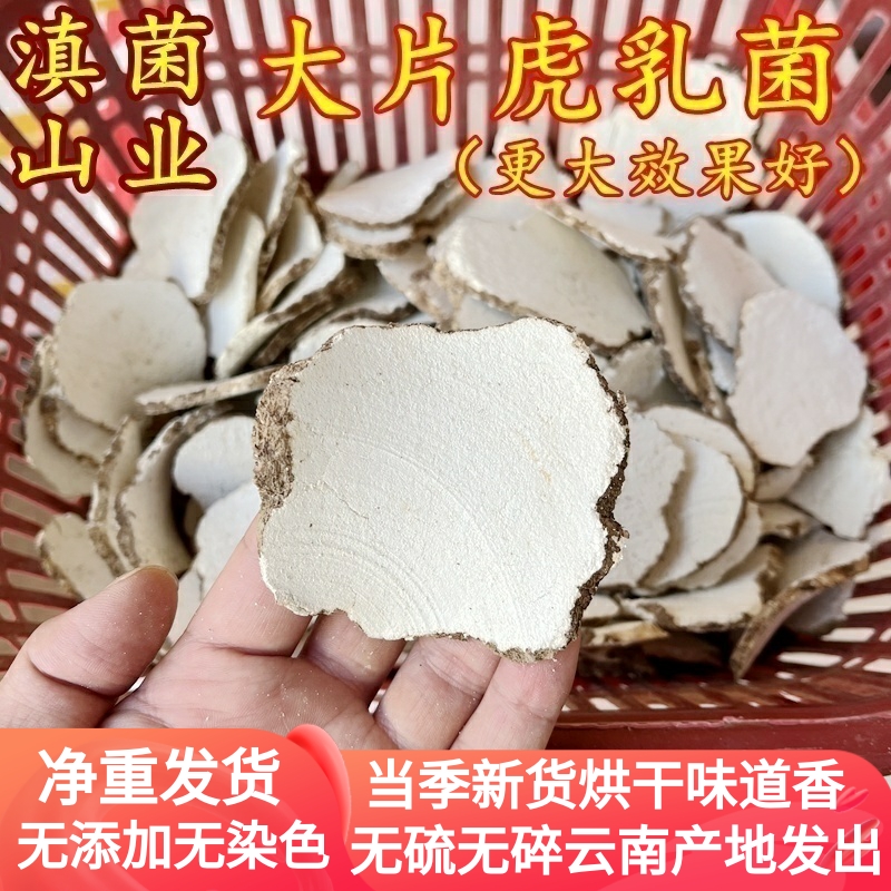 虎乳菌马来西亚虎奶菇干货 切片大片老小儿久咳寒咳正品特级汤料