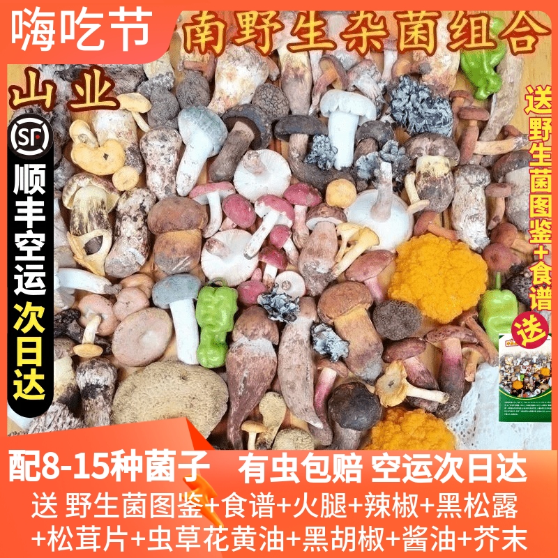 新鲜云南野生杂菌组合两斤松露见手青松茸红菇鸡枞青头牛肝菌美食