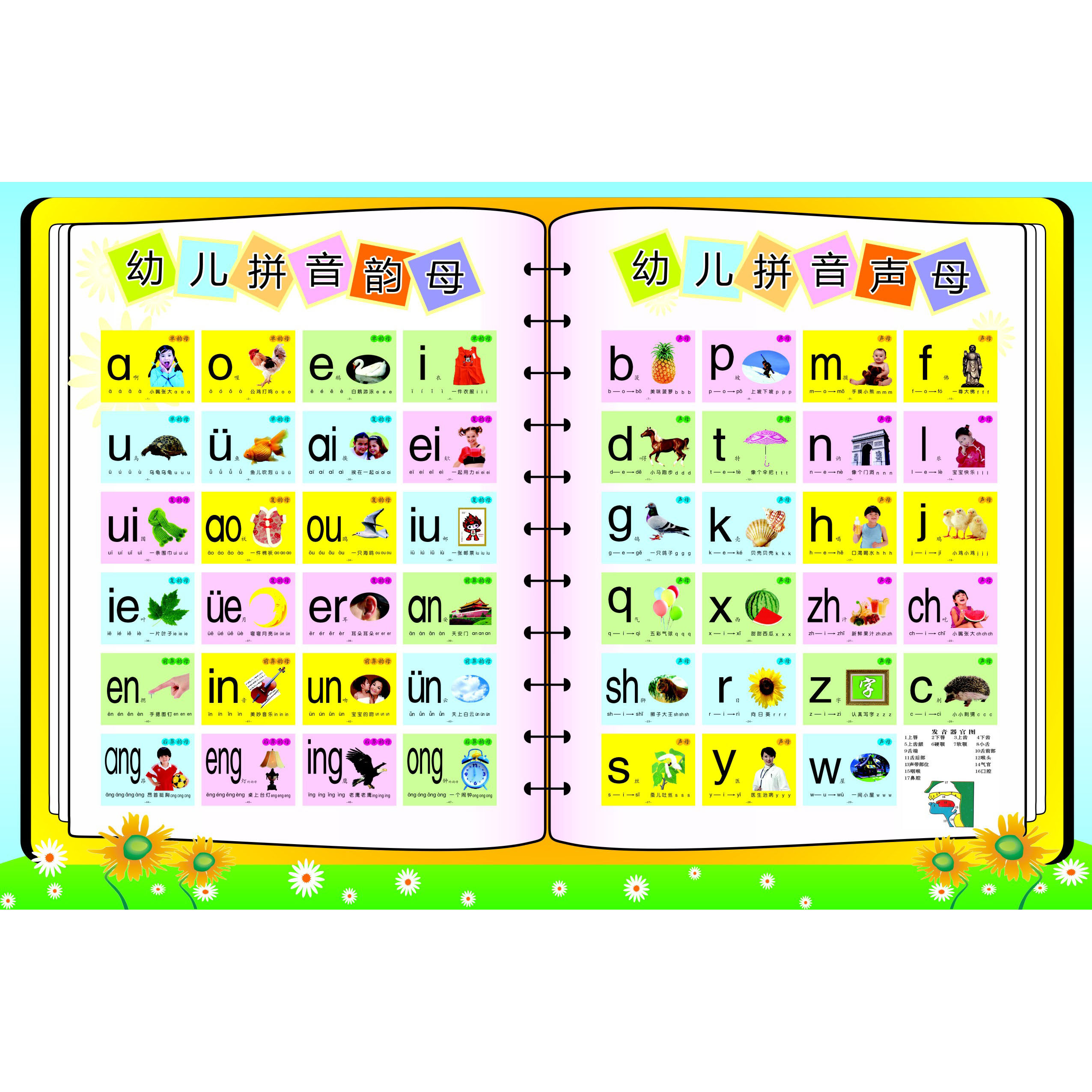 小学拼音声母韵母拼读全表挂图海报 幼儿汉语宣传画贴画