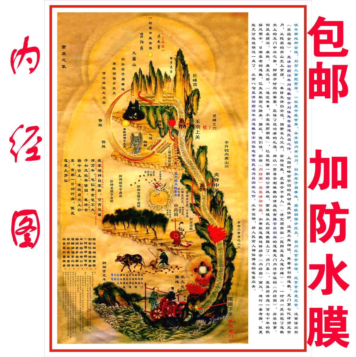 中医内经图挂图 针炙养生文化海报 人体宣传标语医院挂画展板