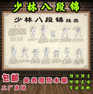 少林八段锦挂图中医养生海报文化宣传展板养生图片挂画养生馆壁画