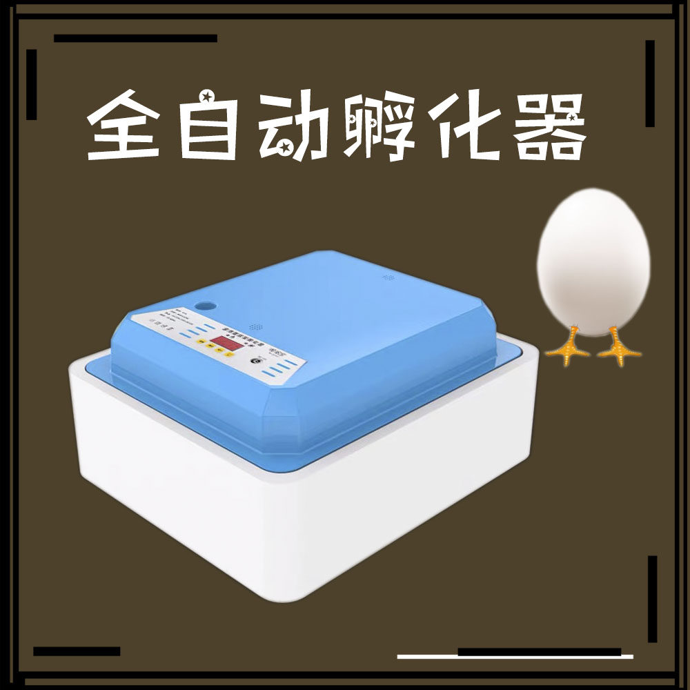 柯尔鸭孵化器孵化箱全自动一次可孵化5枚|msdalam kategori 机械设备, 孵化器/孵化设备 - dari Buy2taobao.com untuk memberikan perkhidmatan ejen Taobao profesional membeli