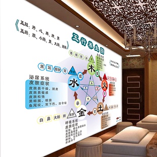金木水火土五行图中医五行养生画养生馆装饰挂图人体五腑六脏海报