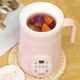 养生杯办公室小型一个人养生壶女士2024年新款 迷你mini家用多功能