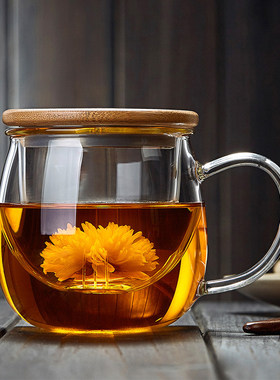 玻璃杯带把手茶水分离耐高温高硼硅2025新款喝水带盖子办公泡花茶