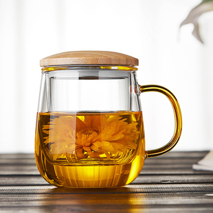 玻璃杯带把手茶水分离耐高温家用2025新款带盖子喝茶办公室泡茶杯
