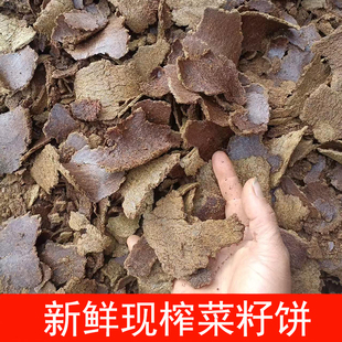 云南菜籽饼农家自榨油枯饼菜子饼种果树园蔬菜种花有机肥钓鱼打窝