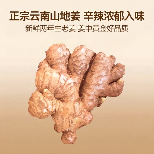 2026年现挖小黄姜老姜月子姜