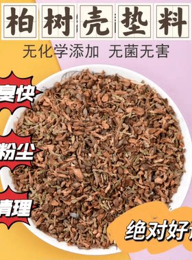 一次性无需清理柏树壳除臭留香